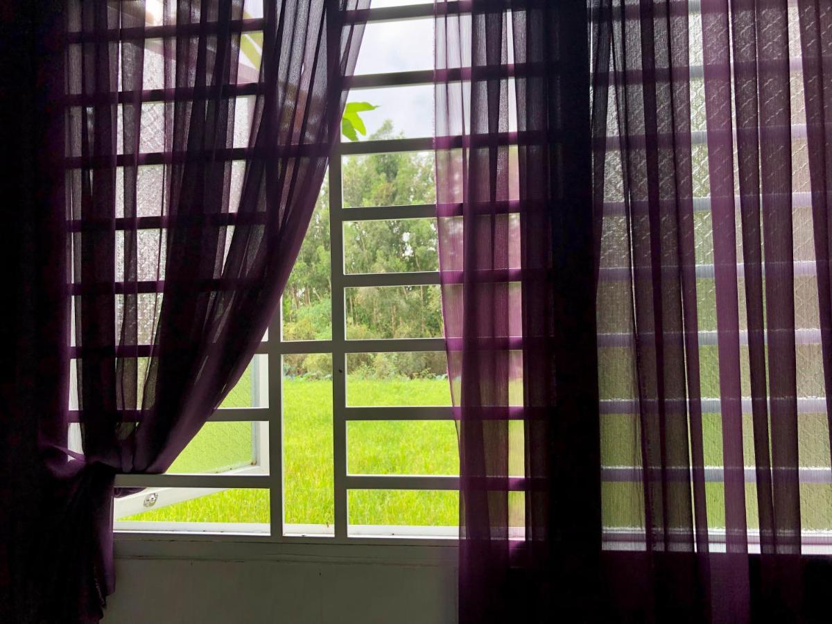 Hương Tràm Hostel Ho Da Ngoại thất bức ảnh