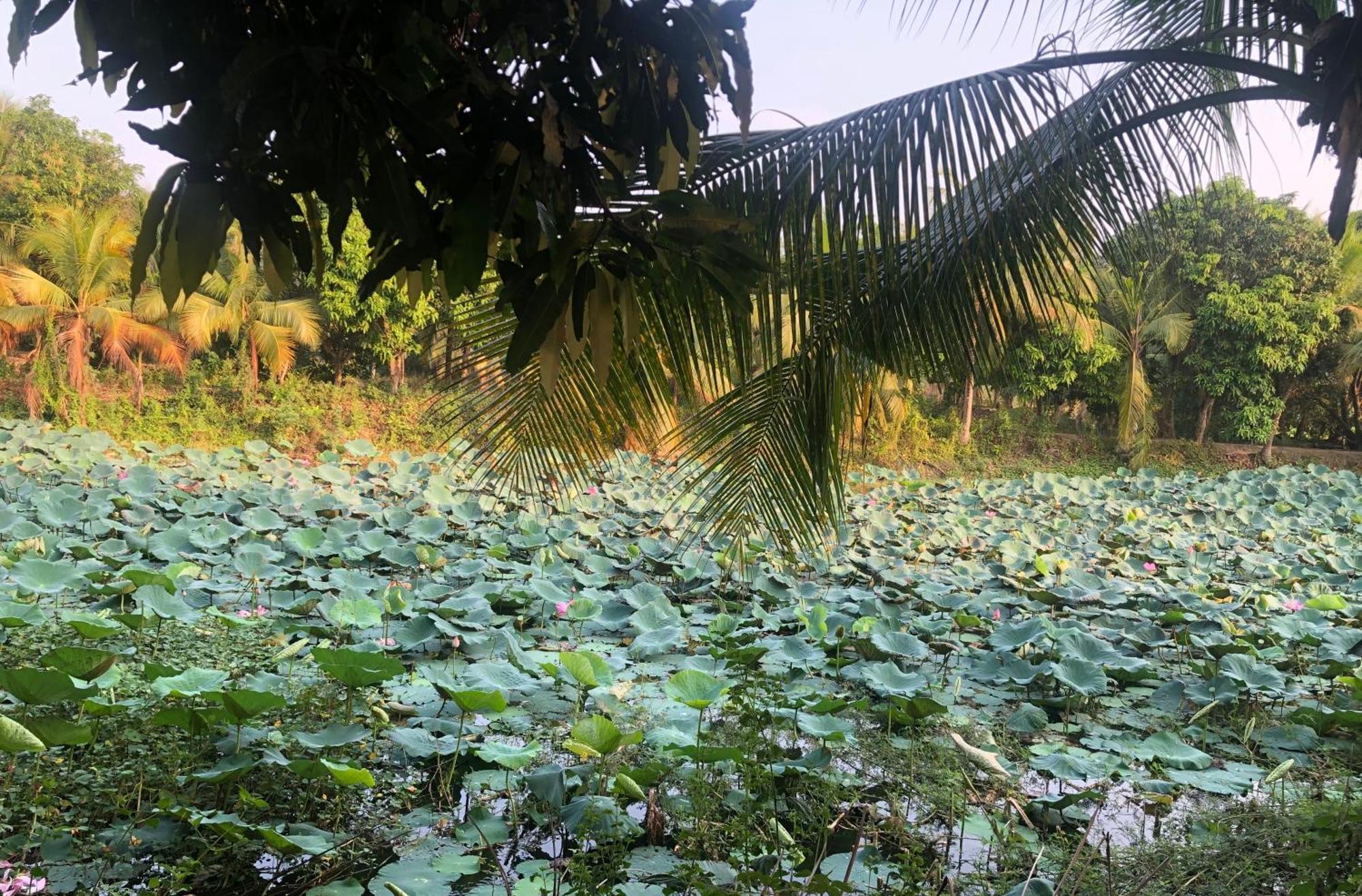 Hương Tràm Hostel Ho Da Ngoại thất bức ảnh