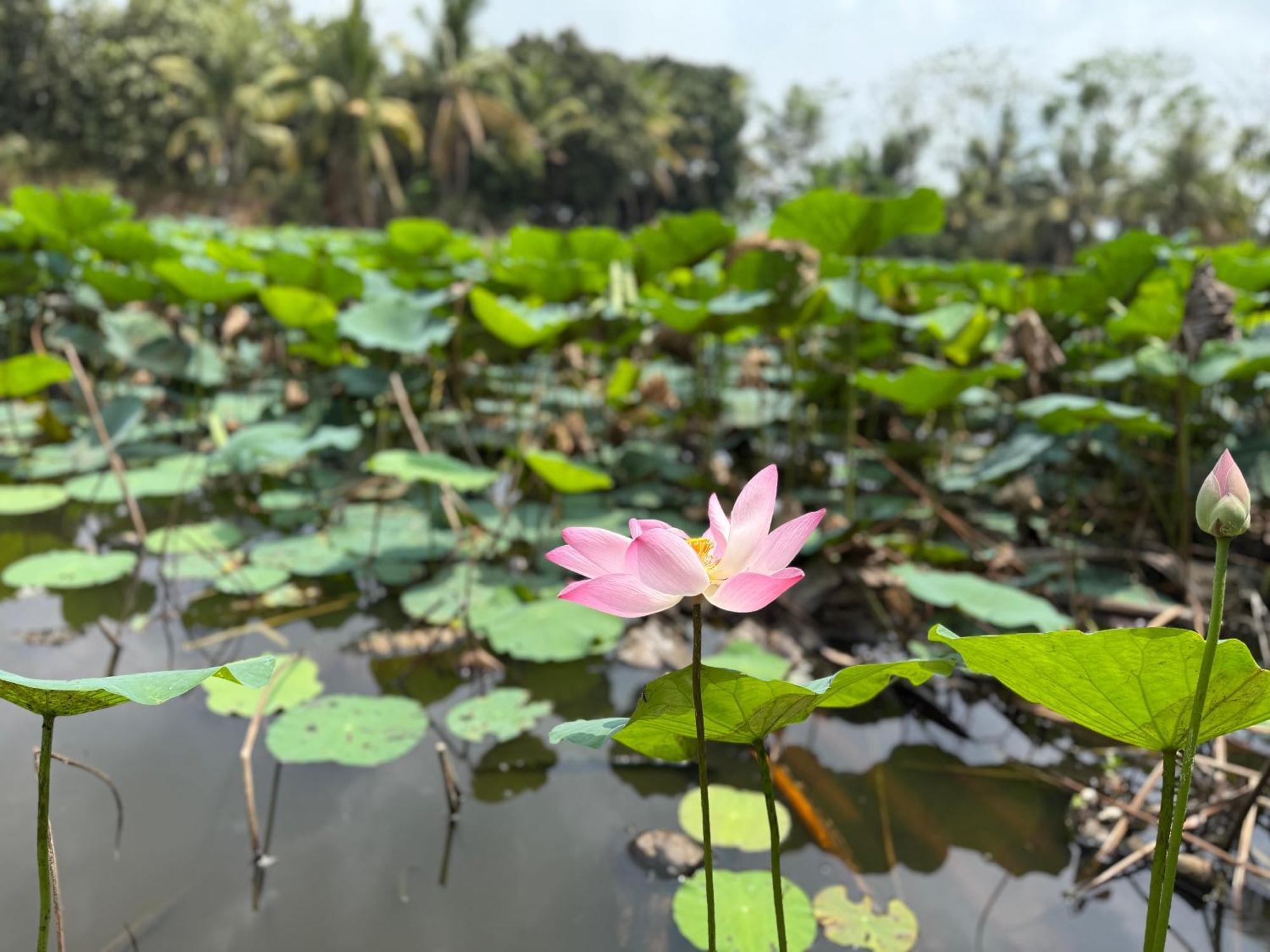 Hương Tràm Hostel Ho Da Ngoại thất bức ảnh